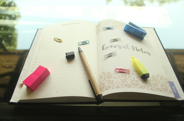 The What, How and Why of the Wedding Dress Journal.