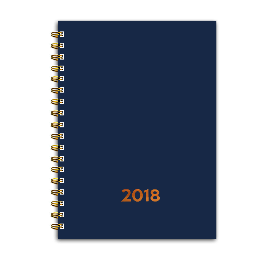 2018 Daily Planner (Blue Foil)